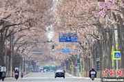 大悟共建“花园城市” 北京这场议政会“百花齐放”