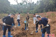 大悟广州已打造首批32处“绿美宗教活动场所”