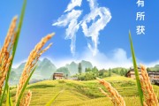 大悟芒种节气小知识来了 夏种作物都有什么？